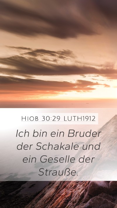 Hiob 30:29 LUTH1912 Bible Verse Image