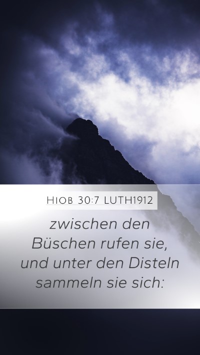 Hiob 30:7 LUTH1912 Mobile Phone Wallpaper - zwischen den Büschen rufen sie, und unter den - Mobile Bible Verse Wallpaper
