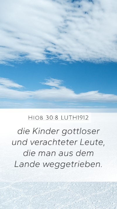 Hiob 30:8 LUTH1912 Bible Verse Image