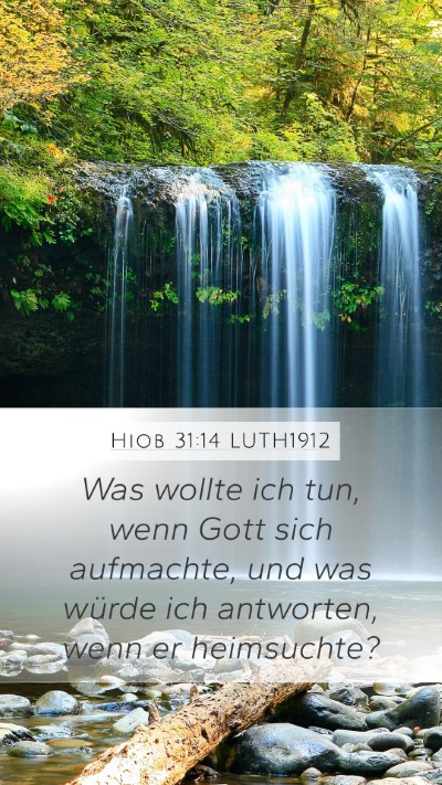 Hiob 31:14 LUTH1912 Bible Verse Image