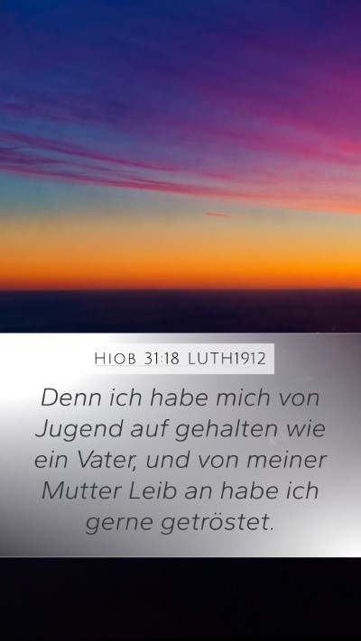 Hiob 31:18 LUTH1912 Bible Verse Image
