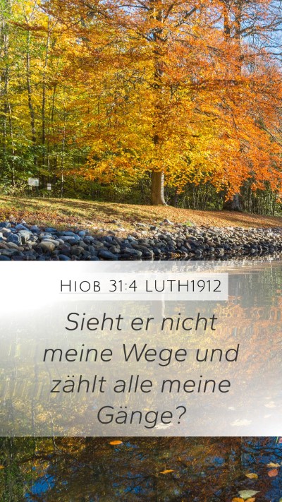 Hiob 31:4 LUTH1912 Bible Verse Image