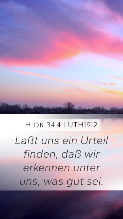 Hiob 34:4 LUTH1912 Bible Verse Image