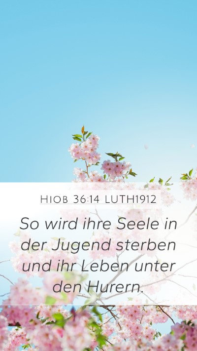 Hiob 36:14 LUTH1912 Bible Verse Image