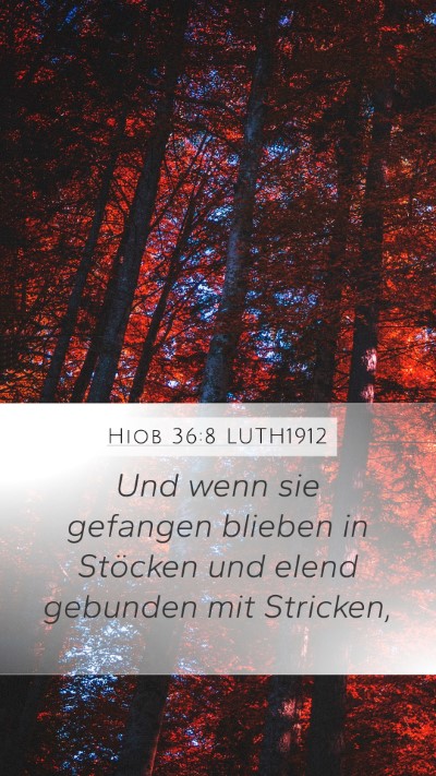 Hiob 36:8 LUTH1912 Bible Verse Image