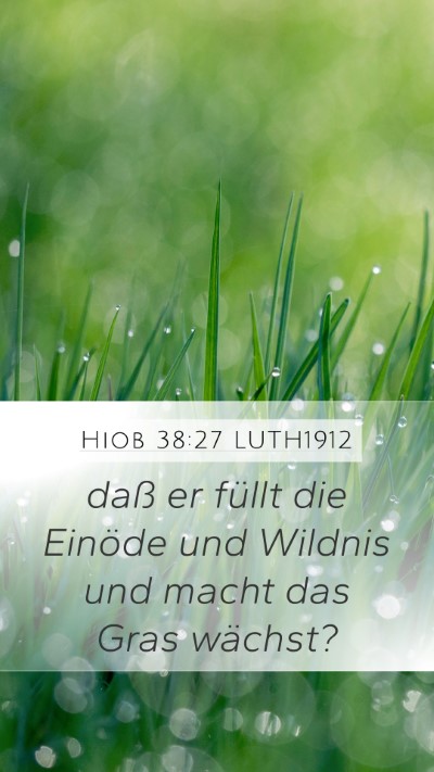Hiob 38:27 LUTH1912 Mobile Phone Wallpaper - daß er füllt die Einöde und Wildnis und macht - Mobile Bible Verse Wallpaper