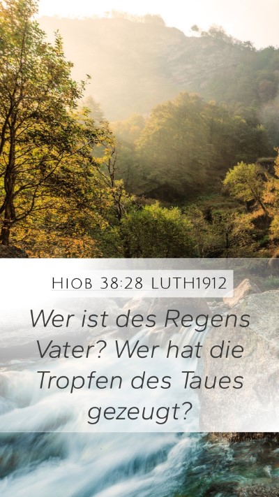 Hiob 38:28 LUTH1912 Mobile Phone Wallpaper - Wer ist des Regens Vater? Wer hat die Tropfen des - Mobile Bible Verse Wallpaper