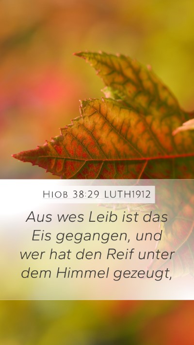 Hiob 38:29 LUTH1912 Bible Verse Image