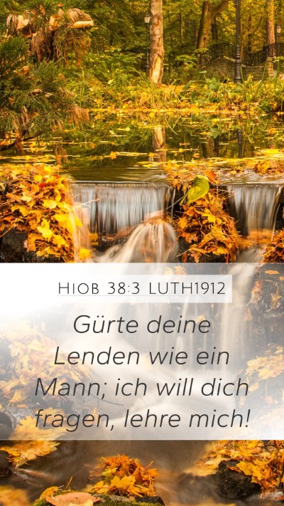 Hiob 38:3 LUTH1912 Bible Verse Image
