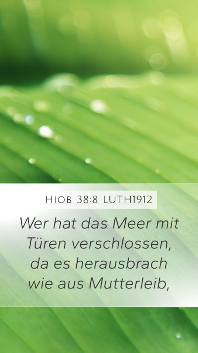 Hiob 38:8 LUTH1912 Bible Verse Image