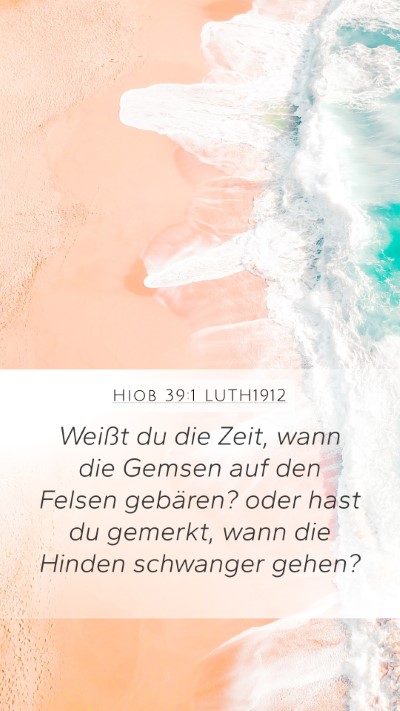 Hiob 39:1 LUTH1912 Mobile Phone Wallpaper - Weißt du die Zeit, wann die Gemsen auf den - Mobile Bible Verse Wallpaper