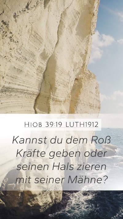 Hiob 39:19 LUTH1912 Bible Verse Image