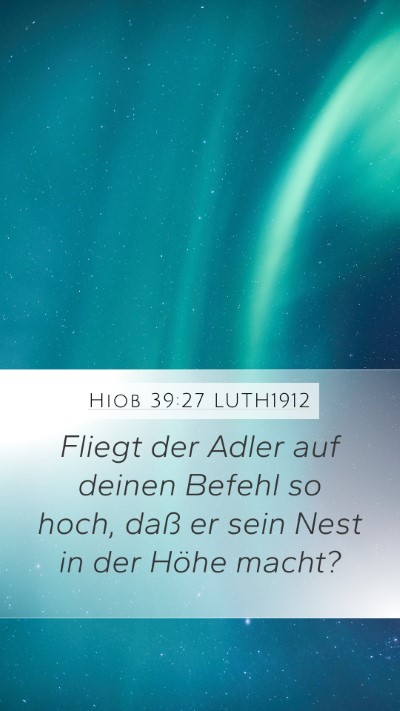 Hiob 39:27 LUTH1912 Bible Verse Image