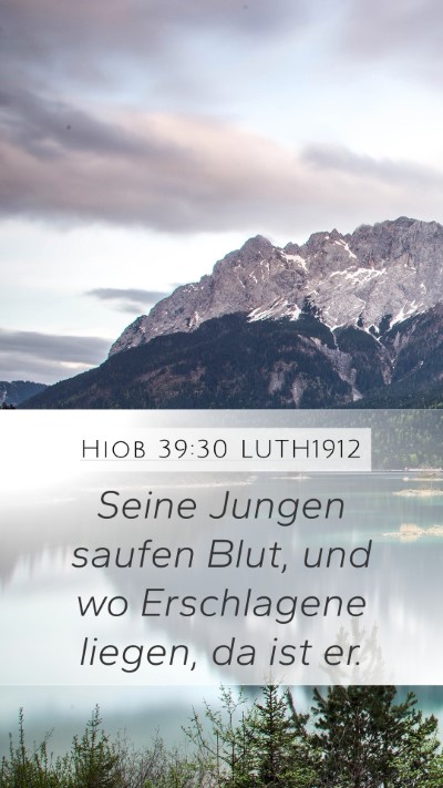 Hiob 39:30 LUTH1912 Bible Verse Image