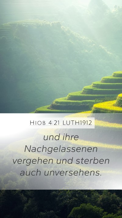 Hiob 4:21 LUTH1912 Bible Verse Image