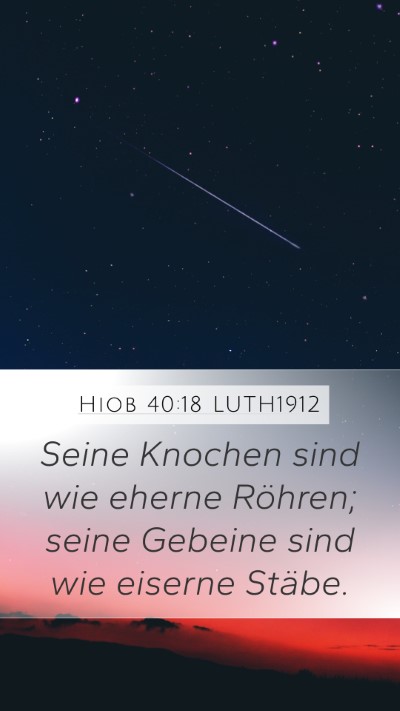 Hiob 40:18 LUTH1912 Bible Verse Image