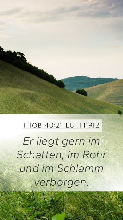 Hiob 40:21 LUTH1912 Bible Verse Image