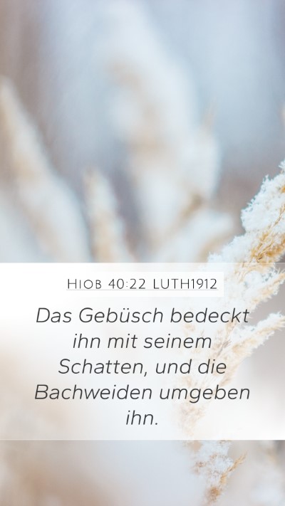 Hiob 40:22 LUTH1912 Bible Verse Image
