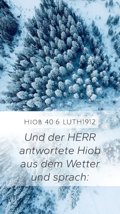 Hiob 40:6 LUTH1912 Bible Verse Image
