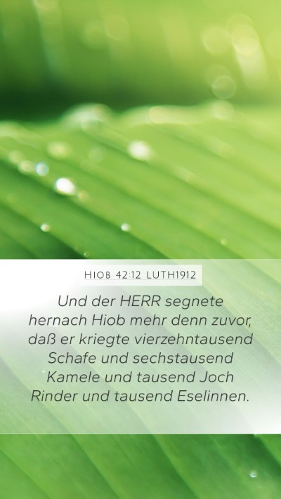 Hiob 42:12 LUTH1912 Bible Verse Image