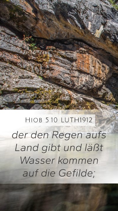 Hiob 5:10 LUTH1912 Bible Verse Image
