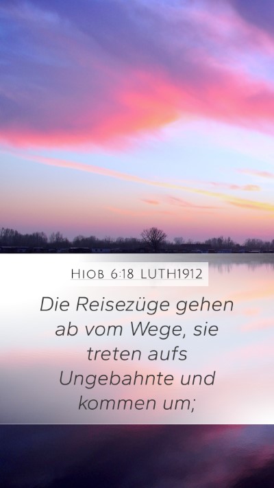 Hiob 6:18 LUTH1912 Bible Verse Image