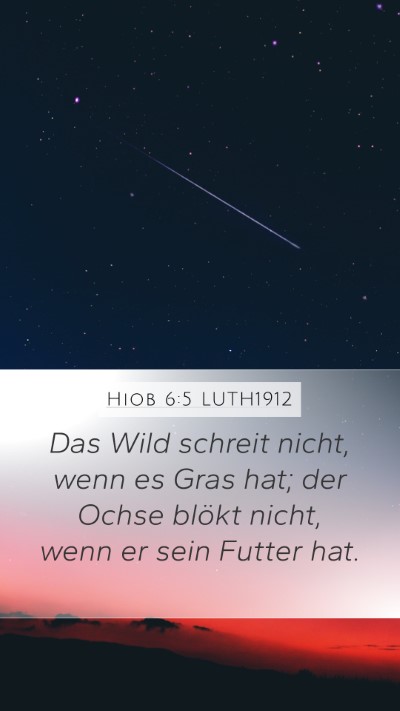 Hiob 6:5 LUTH1912 Bible Verse Image