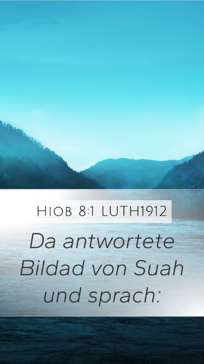 Hiob 8:1 LUTH1912 Bible Verse Image