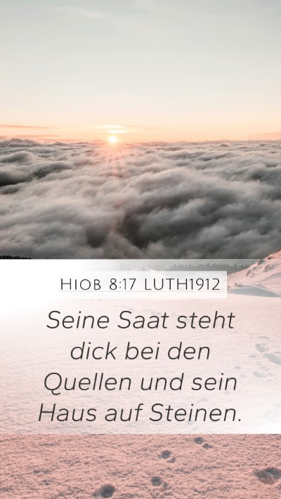 Hiob 8:17 LUTH1912 Mobile Phone Wallpaper - Seine Saat steht dick bei den Quellen und sein - Mobile Bible Verse Wallpaper