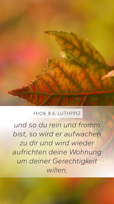 Hiob 8:6 LUTH1912 Bible Verse Image