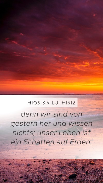 Hiob 8:9 LUTH1912 Bible Verse Image