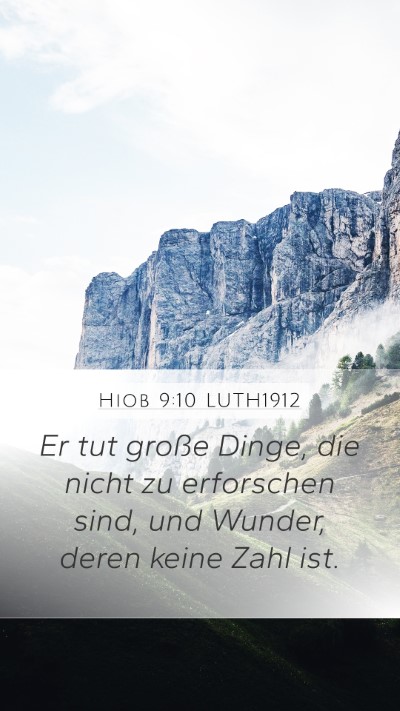 Hiob 9:10 LUTH1912 Bible Verse Image