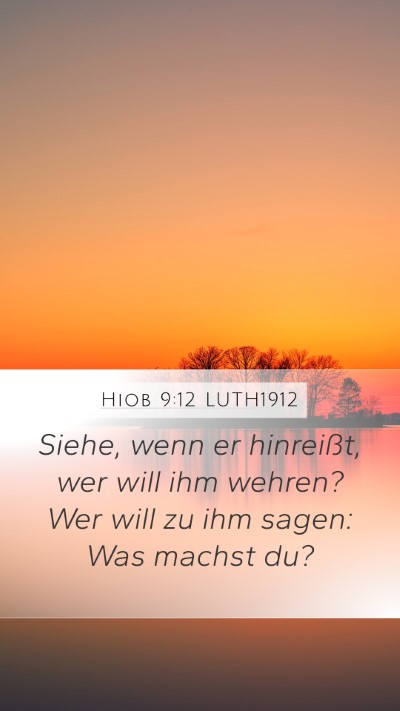 Hiob 9:12 LUTH1912 Bible Verse Image