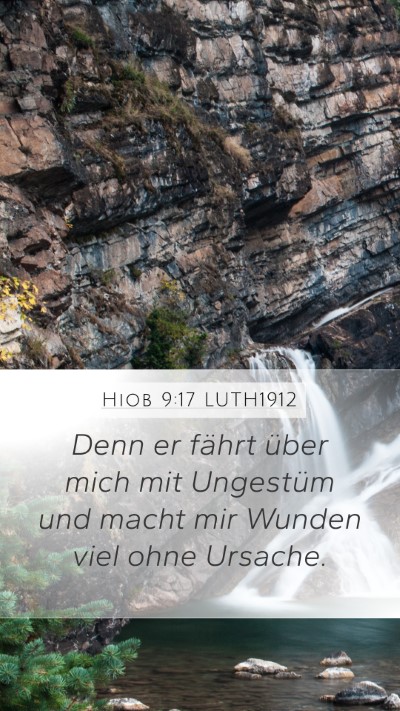 Hiob 9:17 LUTH1912 Bible Verse Image