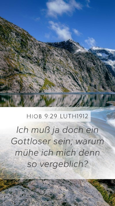 Hiob 9:29 LUTH1912 Bible Verse Image
