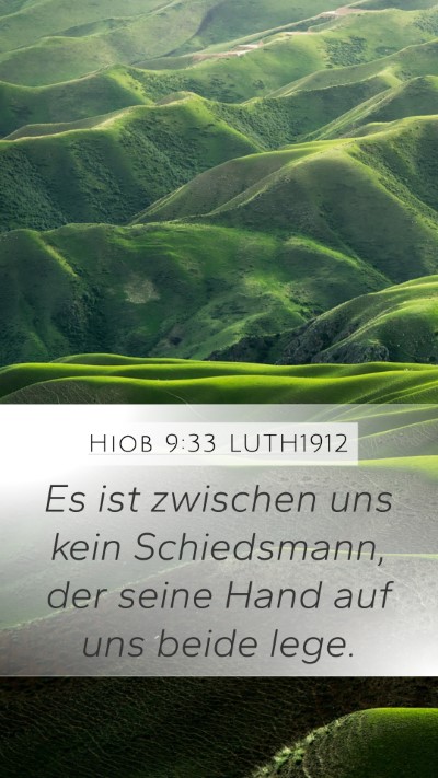 Hiob 9:33 LUTH1912 Bible Verse Image
