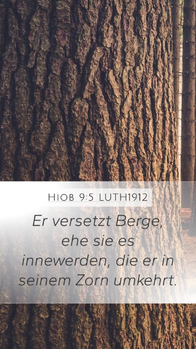 Hiob 9:5 LUTH1912 Bible Verse Image