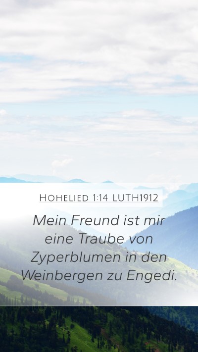Hohelied 1:14 LUTH1912 Bible Verse Image