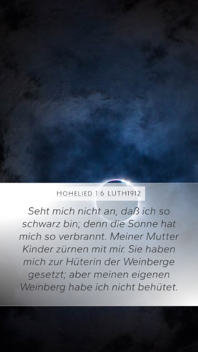 Hohelied 1:6 LUTH1912 Bible Verse Image