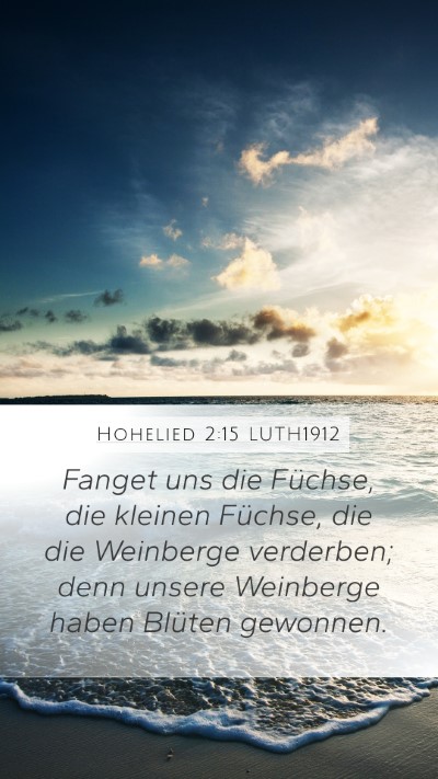 Hohelied 2:15 LUTH1912 Mobile Phone Wallpaper - Fanget uns die Füchse, die kleinen Füchse, die - Mobile Bible Verse Wallpaper