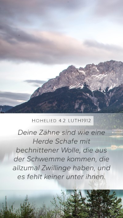 Hohelied 4:2 LUTH1912 Mobile Phone Wallpaper - Deine Zähne sind wie eine Herde Schafe mit - Mobile Bible Verse Wallpaper