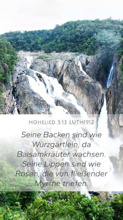 Hohelied 5:13 LUTH1912 Bible Verse Image