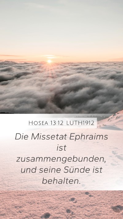 Hosea 13:12 LUTH1912 Bible Verse Image