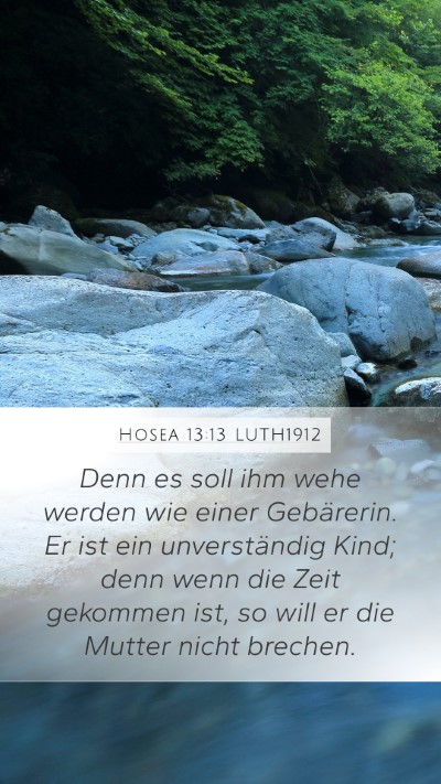 Hosea 13:13 LUTH1912 Bible Verse Image