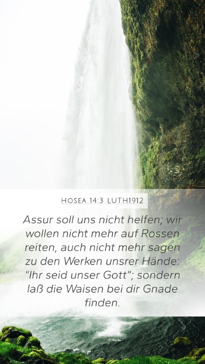 Hosea 14:3 LUTH1912 Bible Verse Image