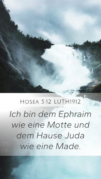 Hosea 5:12 LUTH1912 Bible Verse Image
