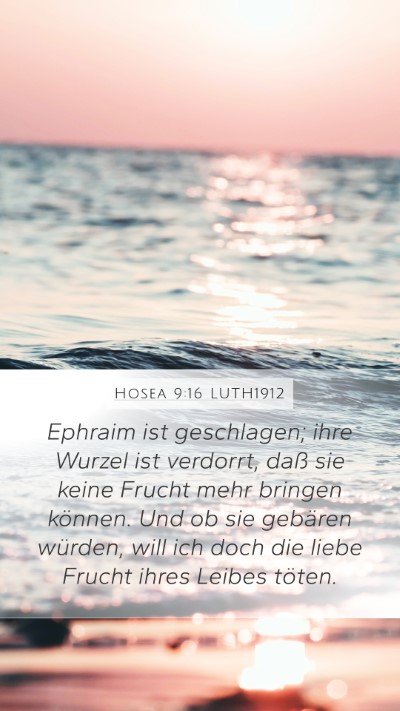 Hosea 9:16 LUTH1912 Bible Verse Image