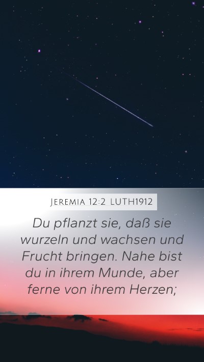 Jeremia 12:2 LUTH1912 Bible Verse Image
