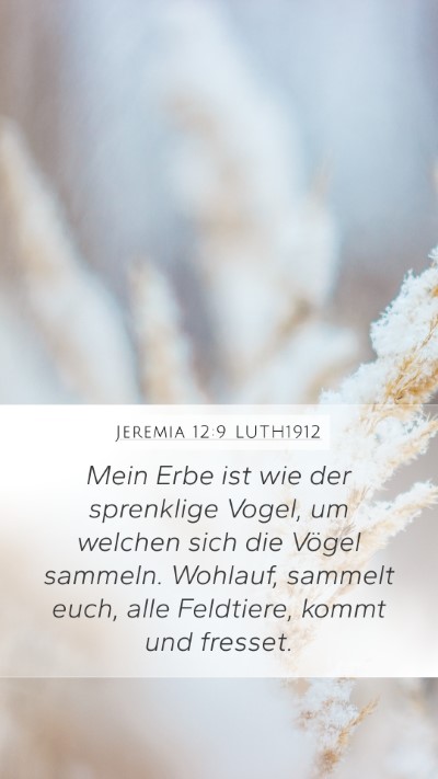 Jeremia 12:9 LUTH1912 Bible Verse Image