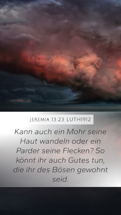 Jeremia 13:23 LUTH1912 Bible Verse Image